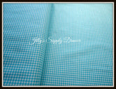 Aqua and White Gingham