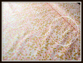 Pink & Gold Shimmer Reflection